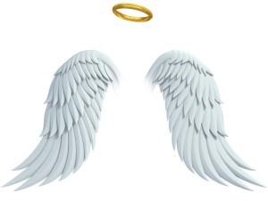 angel investor tips